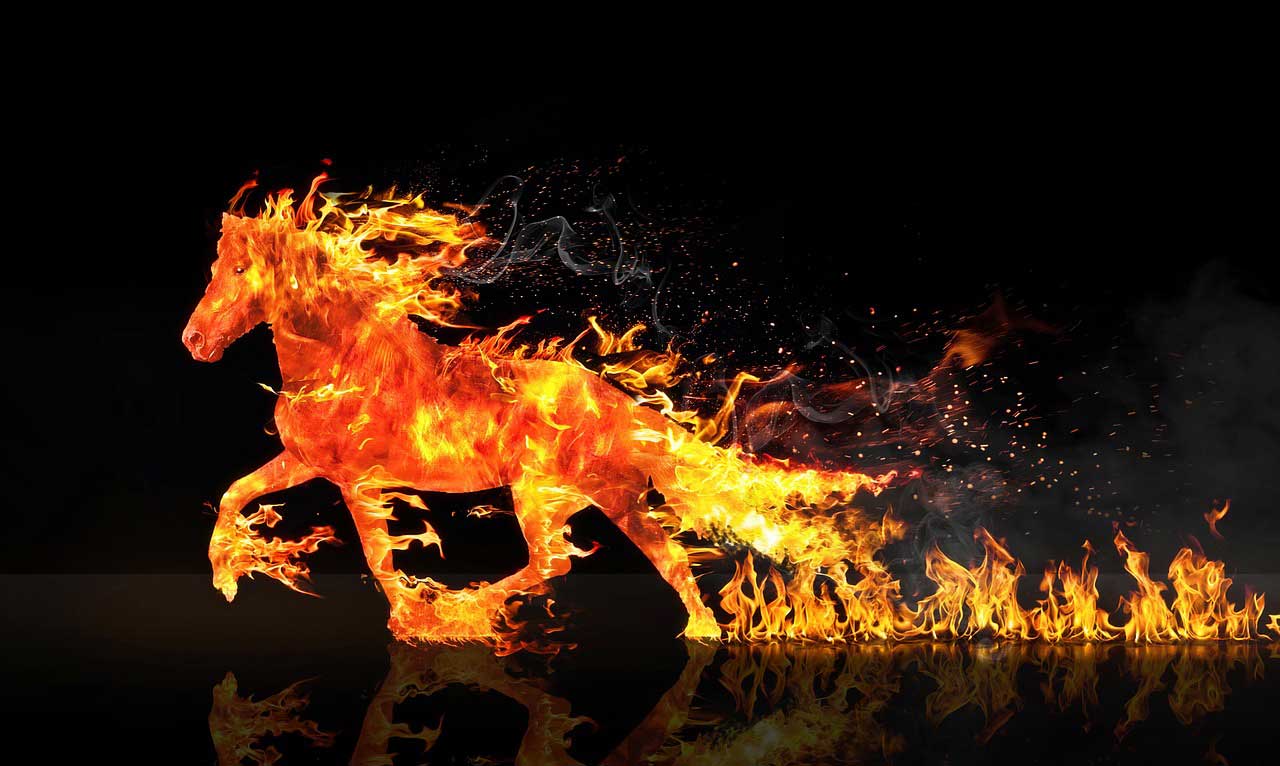 fire-horse-2492947_1280