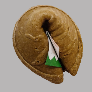 fortune-cookie2